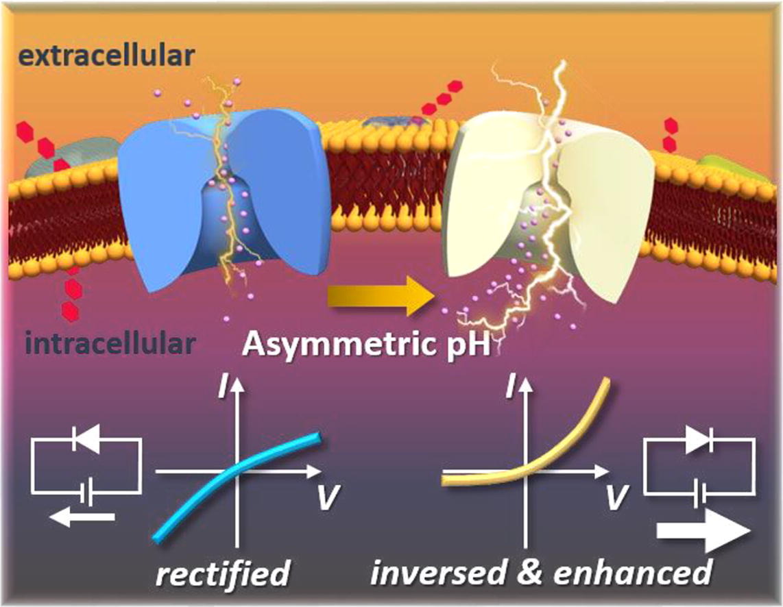 1-s2.0-S1385894722065457-ga1_lrg
