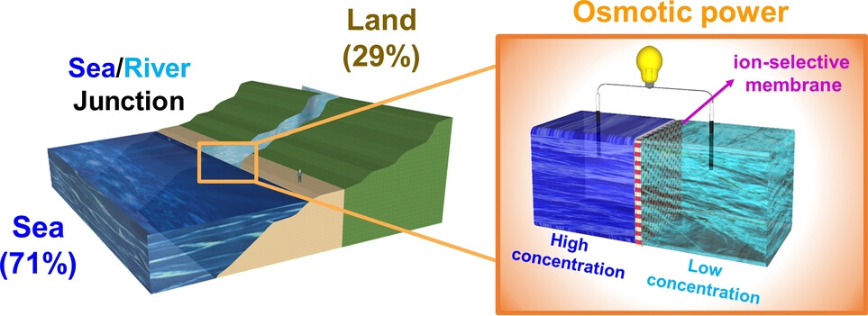 anie202303582-fig-0001-m