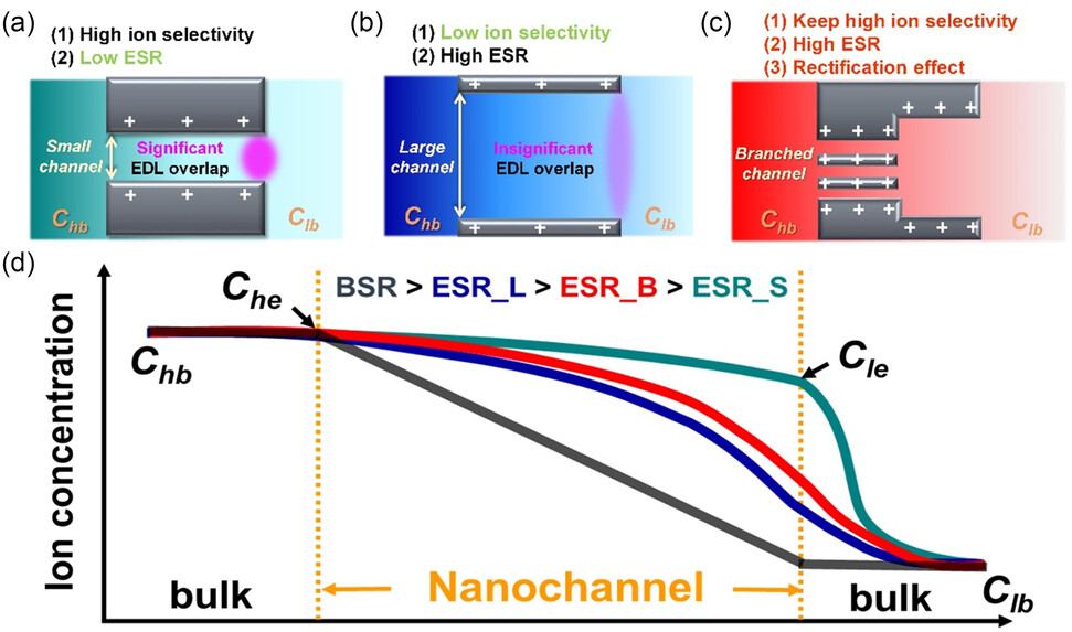 smsc202300167-fig-0001-m